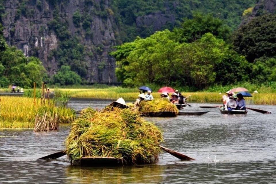 Tam Coc Cozy Homestay Νιν Μπιν Εξωτερικό φωτογραφία